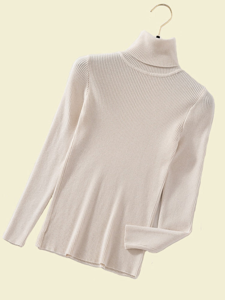 Blusa de tricot gola alta marise