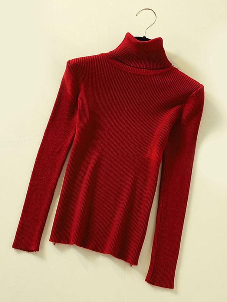 Blusa de tricot gola alta marise